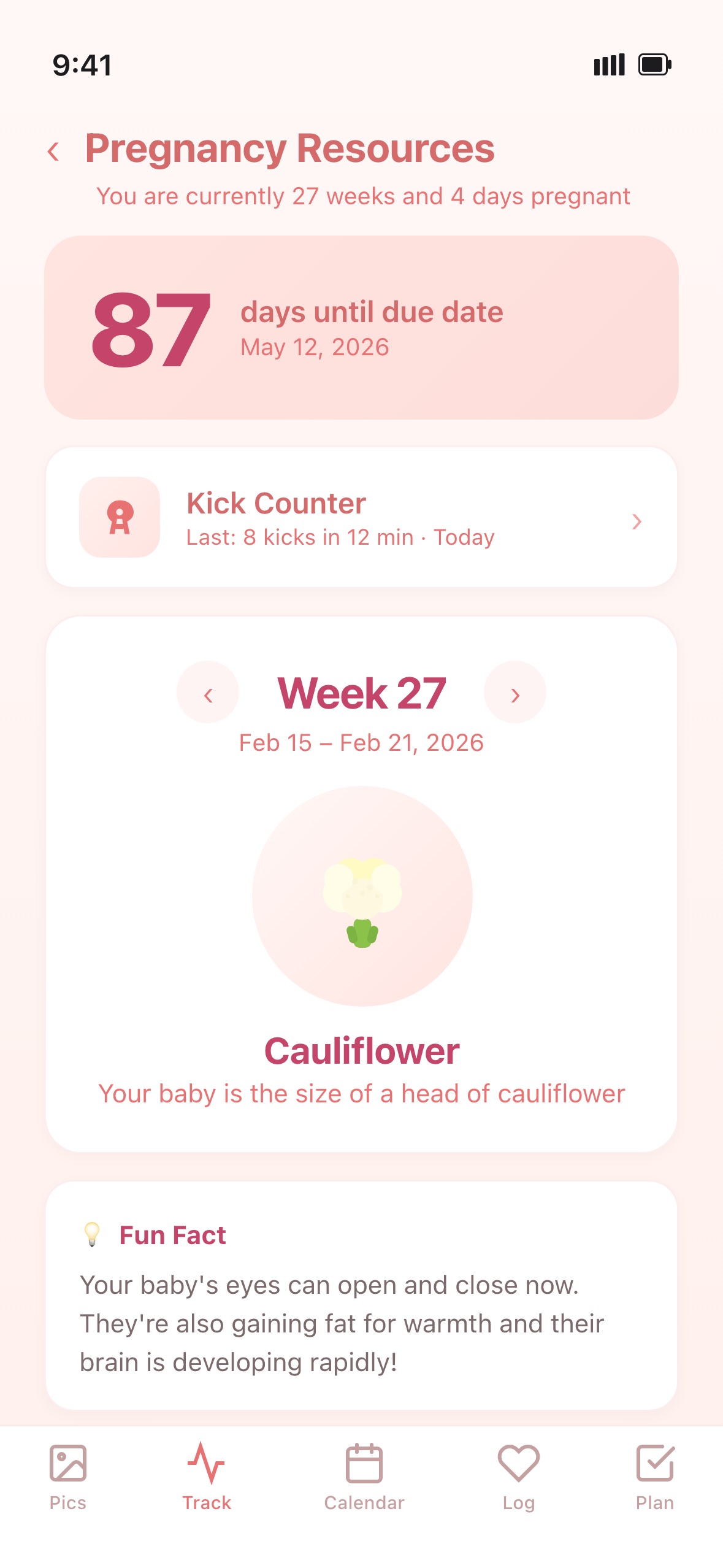 Pregnancy Tracker